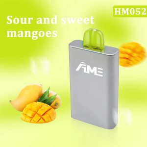 disposable vapes  Mango